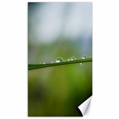 After The Rain Canvas 40  X 72   by LauraNATURE