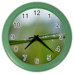 After The Rain Color Wall Clocks