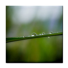 After The Rain Face Towel by LauraNATURE