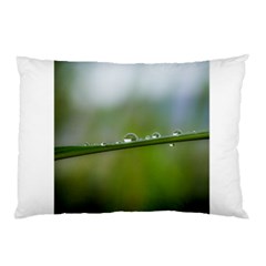 After the rain Pillow Case