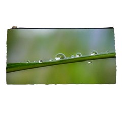 After the rain Pencil Cases