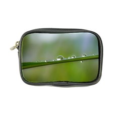 After the rain Coin Purse