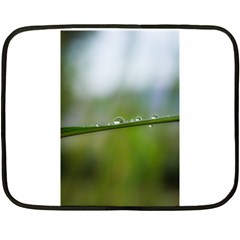 After the rain Double Sided Fleece Blanket (Mini) 