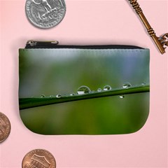 After the rain Mini Coin Purses