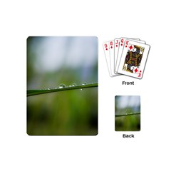 After the rain Playing Cards (Mini) 