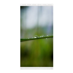 After The Rain Shower Curtain 36  X 72  (stall)  by LauraNATURE