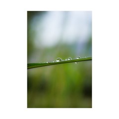 After The Rain Shower Curtain 48  X 72  (small)  by LauraNATURE