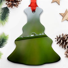 After the rain Ornament (Christmas Tree)