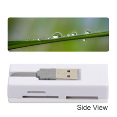 After The Rain Memory Card Reader (stick)  by LauraNATURE