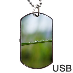 After The Rain Dog Tag Usb Flash (one Side) by LauraNATURE