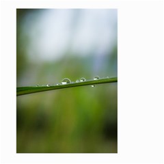 After The Rain Large Garden Flag (two Sides)