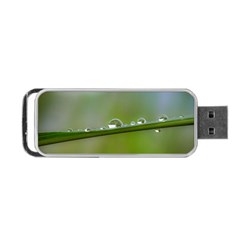 After The Rain Portable Usb Flash (two Sides)