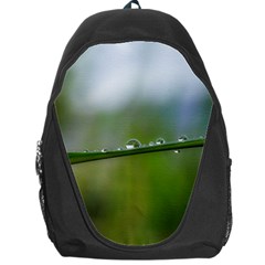 After The Rain Backpack Bag