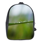 After the rain School Bags (XL)  Front