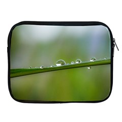 After the rain Apple iPad 2/3/4 Zipper Cases