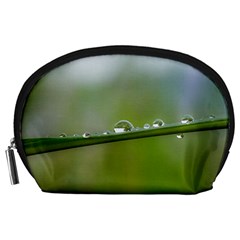 After the rain Accessory Pouches (Large) 