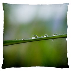 After The Rain Large Flano Cushion Case (one Side) by LauraNATURE