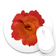 Red Rose Photo Round Mousepads by dflcprints