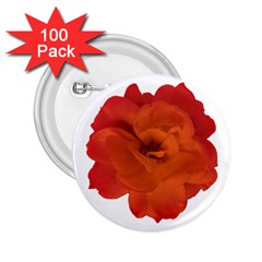 Red Rose Photo 2 25  Buttons (100 Pack) 