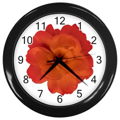 Red Rose Photo Wall Clocks (black) by dflcprints