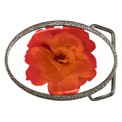 Red Rose Photo Belt Buckles by dflcprints