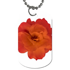 Red Rose Photo Dog Tag (one Side) by dflcprints