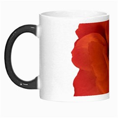 Red Rose Photo Morph Mugs by dflcprints