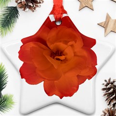 Red Rose Photo Star Ornament (two Sides)  by dflcprints