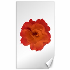 Red Rose Photo Canvas 40  X 72   by dflcprints