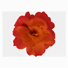 Red Rose Photo Large Glasses Cloth by dflcprints