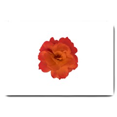 Red Rose Photo Large Doormat  by dflcprints