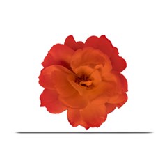 Red Rose Photo Plate Mats