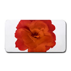 Red Rose Photo Medium Bar Mats by dflcprints