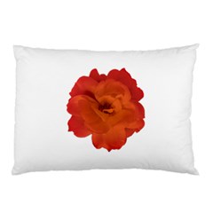 Red Rose Photo Pillow Case by dflcprints