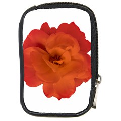 Red Rose Photo Compact Camera Cases by dflcprints