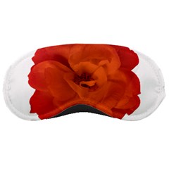 Red Rose Photo Sleeping Masks by dflcprints