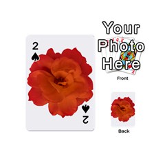 Red Rose Photo Playing Cards 54 (mini) 