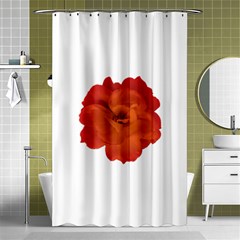 Red Rose Photo Shower Curtain 48  X 72  (small) 