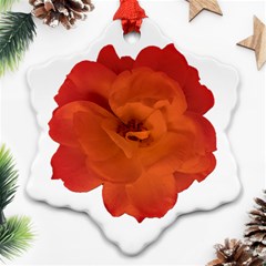 Red Rose Photo Ornament (snowflake)  by dflcprints