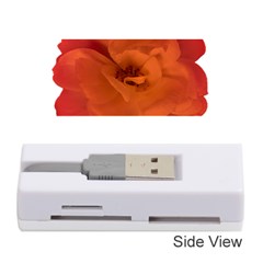 Red Rose Photo Memory Card Reader (stick)  by dflcprints