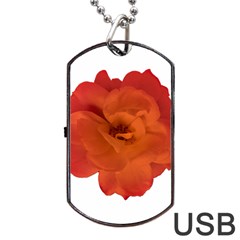 Red Rose Photo Dog Tag Usb Flash (two Sides) 