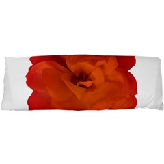 Red Rose Photo Samsung S3350 Hardshell Case