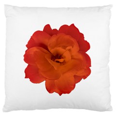 Red Rose Photo Standard Flano Cushion Case (two Sides) by dflcprints