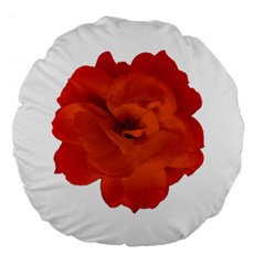 Red Rose Photo Large 18  Premium Flano Round Cushions by dflcprints