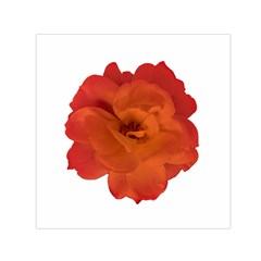 Red Rose Photo Small Satin Scarf (square) 