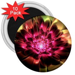 Red Peony 3  Magnets (10 Pack) 