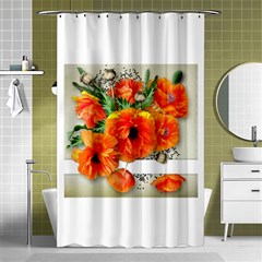 002 Page 1 (1) Shower Curtain 48  X 72  (small) 