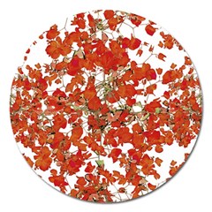 Vivid Floral Collage Magnet 5  (round) by dflcprints