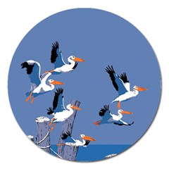 Abstract Pelicans Seascape Tropical Pop Art Magnet 5  (round) by WaltCurleeArt