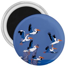 Abstract Pelicans Seascape Tropical Pop Art 3  Magnets by WaltCurleeArt